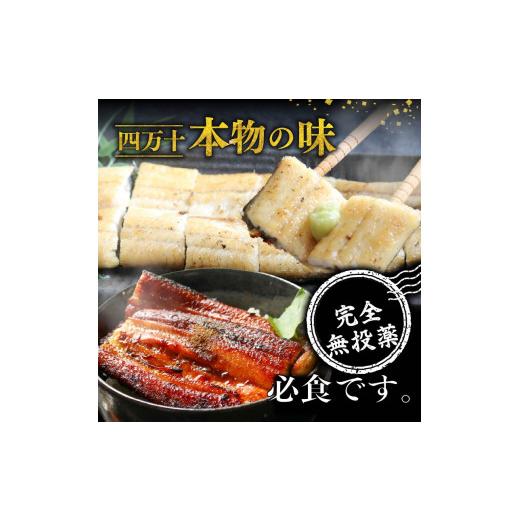 ふるさと納税 うなぎ 高知県 南国市  通常用 2回定期便 極上国産うなぎ四万十桜 白焼き約140g×4尾 | 完全無投薬 うなぎ 鰻 白焼き 定期便 国産 ウナギ 調理済…の画像