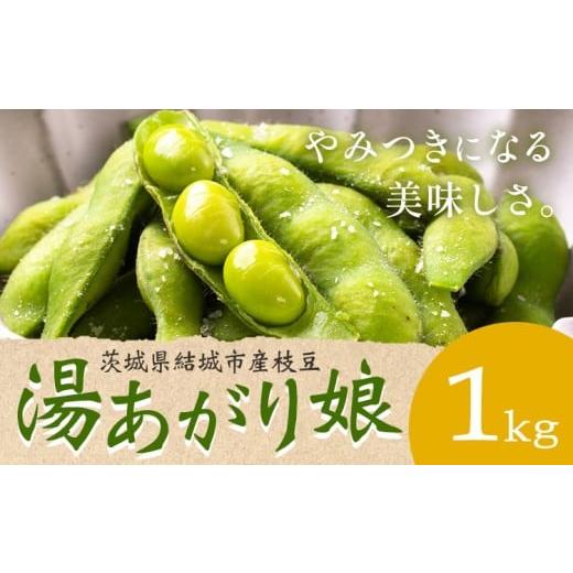 ふるさと納税 豆類 枝豆 茨城県 結城市 枝豆 「湯あがり娘」1kg(茶豆味)先行予約 有限会社大嶋農園 [2026年7月中旬-8月上旬頃出荷] 茨城県結城市産枝豆 野…