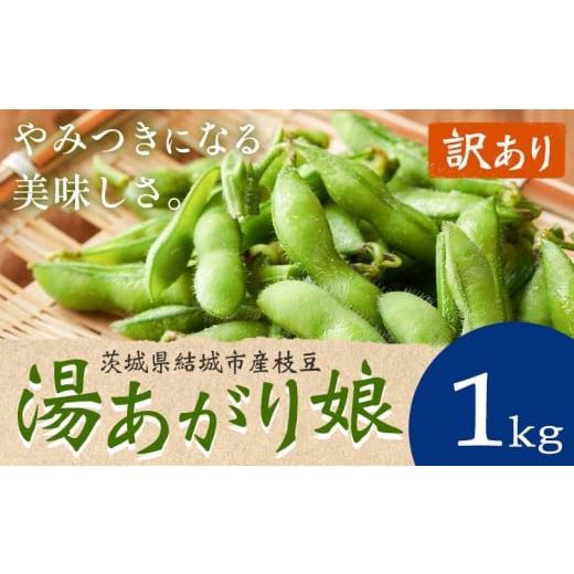 ふるさと納税 豆類 枝豆 茨城県 結城市 訳あり 枝豆「湯あがり娘」1kg(茶豆味) 先行予約 有限会社大嶋農園 [2026年7月中旬-8月上旬頃出荷] 茨城県結城市…