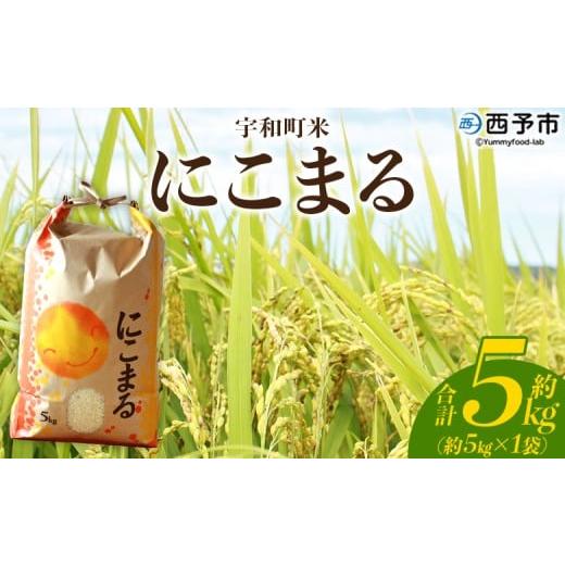 ふるさと納税 米 にこまる 愛媛県 西予市 令和7年産 西予市宇和町産 にこまる 約5kg お米 コメ 白米 精米 単一原料米 ご飯 晩稲 大粒 精米 ご飯 ライス 穀物 …