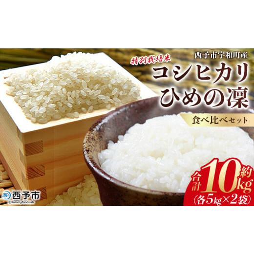 ふるさと納税 米 愛媛県 西予市 令和7年産 西予市宇和町産 特別栽培米コシヒカリ・ひめの凜 食べ比べセット(各約5kg) お米 コメ こめ 白米 精米 単一原料米…