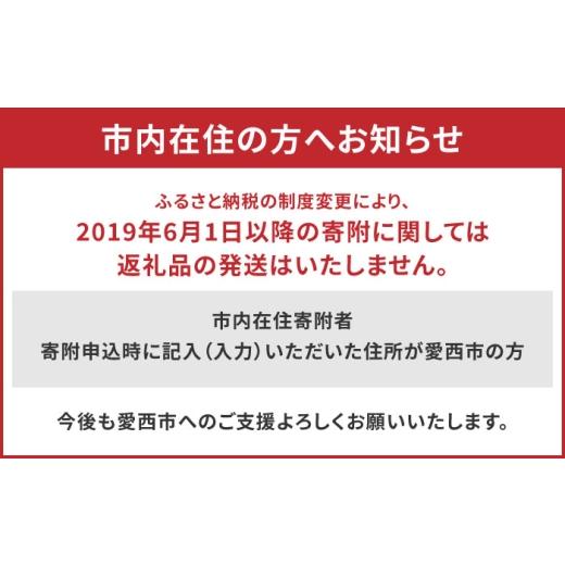 ふるさと納税 生き物 愛知県 愛西市  先行予約 ニジイロクワガタ成虫ペア（オスサイズ45mm〜60mm）飼育セット付き 配送不可地域：北海道・沖縄・離島 愛西市 …の画像