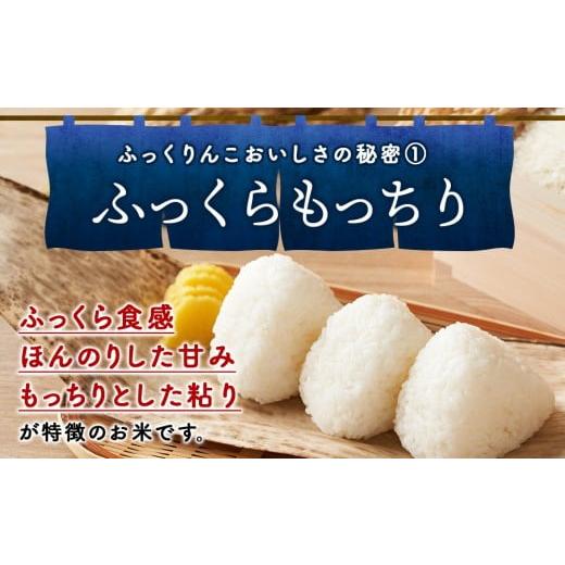ふるさと納税 米 北海道 木古内町 令和7年産 3ヵ月定期便 木古内町産