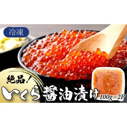 ふるさと納税 いくら 佐賀県 上峰町 絶品 いくら醤油漬け 200g(100g×2P) A-97-PE 200g 7,500円