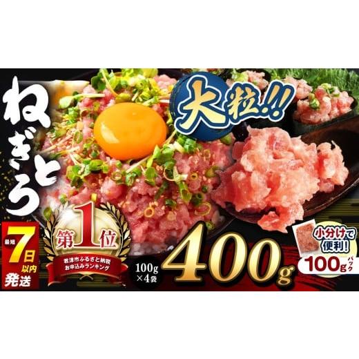 ふるさと納税 マグロ 千葉県 君津市 ねぎとろ 400g(100g×4袋) お試しサイズ 関東限定発送 スピード発送 | 清幸丸水産 大人気 おためし 高評価 手巻き寿司 …