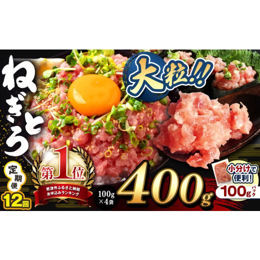 ふるさと納税 マグロ 千葉県 君津市 定期便 12回 ねぎとろ 400g(100g×4袋 | 清幸丸水産 大人気 手巻き寿司 海鮮丼 マグロのユッケ まぐろ 海鮮 小分け 100g…