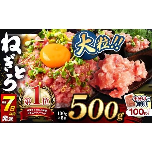 ふるさと納税 マグロ 千葉県 君津市 ねぎとろ 小分け 100g パック 500g(100g×5袋)お試しサイズ 定期便 スピード発送 | 清幸丸水産 最短7日以内発送 おため…
