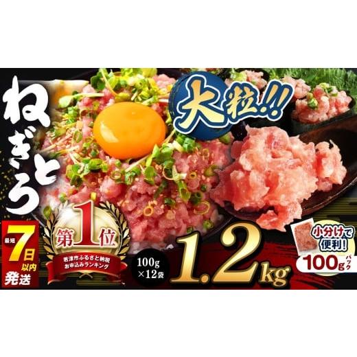 ふるさと納税 マグロ 千葉県 君津市 ねぎとろ 小分け 100g パック 1200g(100g×12袋)お試しサイズ スピード発送 | 清幸丸水産 最短7日以内発送 大人気 おた…