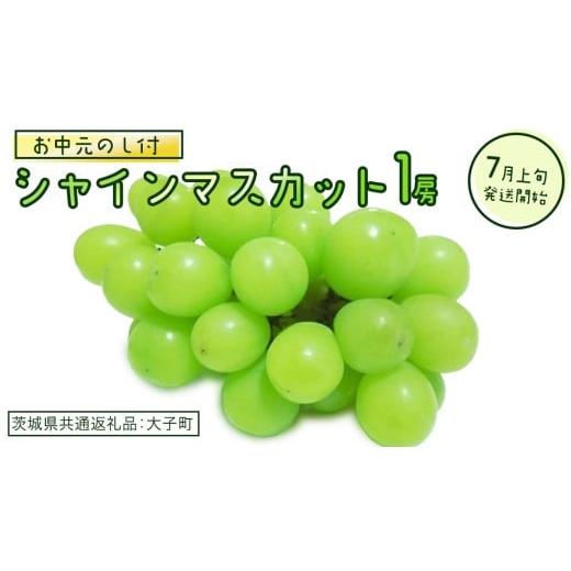 ふるさと納税 ぶどう マスカット 茨城県 牛久市 お中元 熨斗付き シャインマスカット 1房 2026年7月上旬発送開始 (茨城県共通返礼品:大子町) ぶどう 葡萄 …