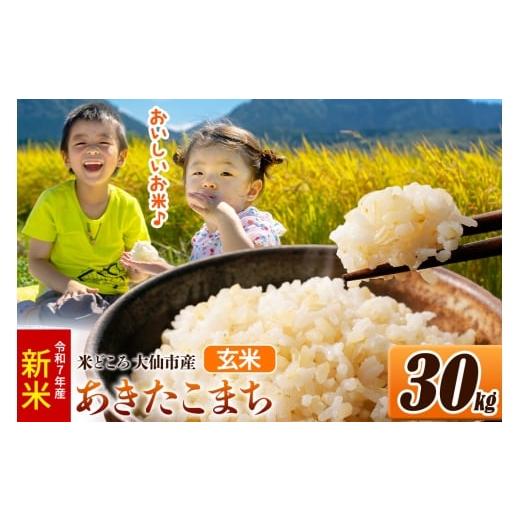 ふるさと納税 玄米 秋田県 大仙市 新米 令和7年産 米 玄米 米どころ秋田県大仙市産 あきたこまち 30kg(30kg×1袋)
