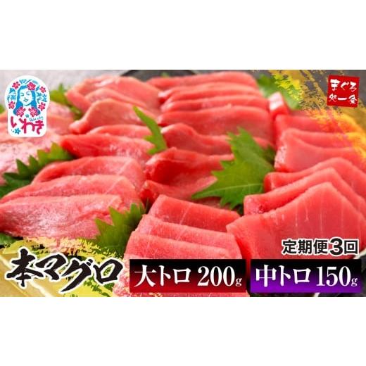 ふるさと納税 マグロ 福島県 いわき市 定期便/計3回 本マグロ大トロ中トロセット350g(計1050g)|鮪 本鮪 本まぐろ マグロ トロ とろ 刺し身 さしみ さかな …
