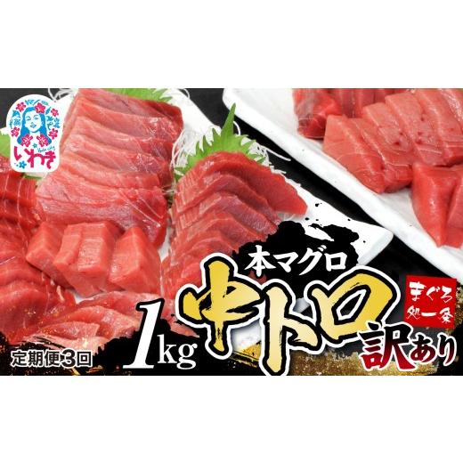 ふるさと納税 マグロ 福島県 いわき市  定期便／計3回 本マグロ訳あり中トロ1kg（計3kg）|マグロ 中トロ 約6〜8人前 本まぐろ 解凍レシピ付 鮪 福島県 いわき…の画像