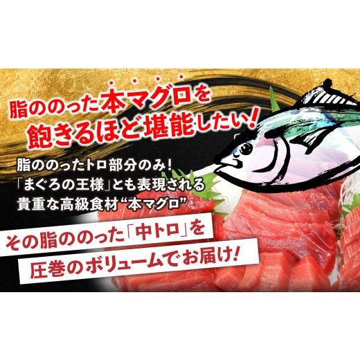 ふるさと納税 マグロ 福島県 いわき市  定期便／計3回 本マグロ訳あり中トロ1kg（計3kg）|マグロ 中トロ 約6〜8人前 本まぐろ 解凍レシピ付 鮪 福島県 いわき…の画像