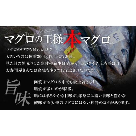 ふるさと納税 マグロ 福島県 いわき市  定期便／計3回 本マグロ訳あり中トロ1kg（計3kg）|マグロ 中トロ 約6〜8人前 本まぐろ 解凍レシピ付 鮪 福島県 いわき…の画像