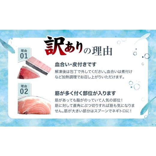 ふるさと納税 マグロ 福島県 いわき市  定期便／計3回 本マグロ訳あり中トロ1kg（計3kg）|マグロ 中トロ 約6〜8人前 本まぐろ 解凍レシピ付 鮪 福島県 いわき…の画像