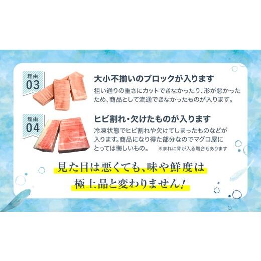 ふるさと納税 マグロ 福島県 いわき市  定期便／計3回 本マグロ訳あり中トロ1kg（計3kg）|マグロ 中トロ 約6〜8人前 本まぐろ 解凍レシピ付 鮪 福島県 いわき…の画像