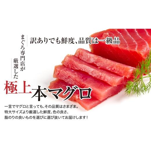 ふるさと納税 マグロ 福島県 いわき市  定期便／計3回 本マグロ訳あり中トロ1kg（計3kg）|マグロ 中トロ 約6〜8人前 本まぐろ 解凍レシピ付 鮪 福島県 いわき…の画像