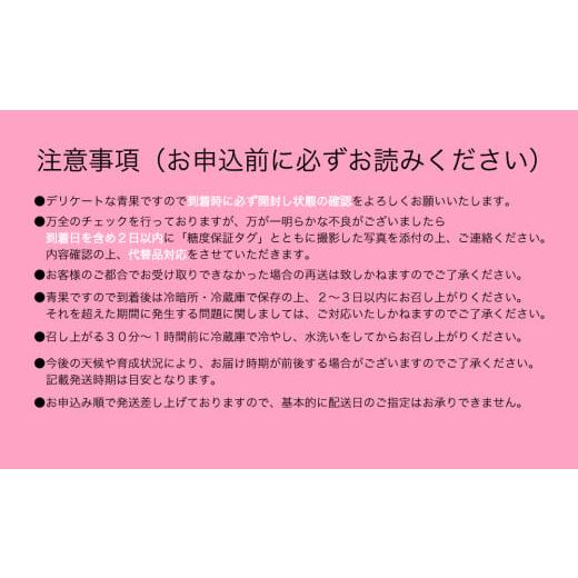ふるさと納税 もも 山梨県 笛吹市 2026年発送 先行予約 全玉糖度14度