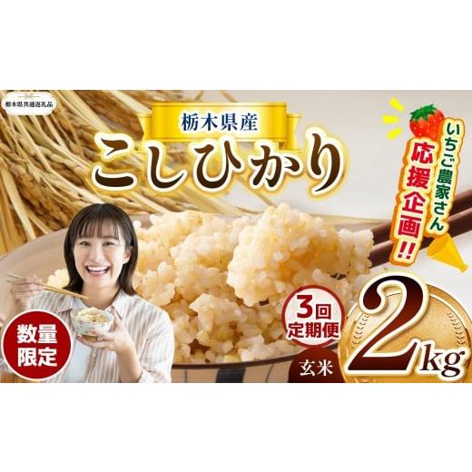 ふるさと納税 玄米 栃木県 那珂川町 訳あり 令和7年度新米 栃木県共通返礼品 数量限定 3回定期便 令和7年度新米 栃木県産コシヒカリ 2kg |定期便 数量限定 こ…