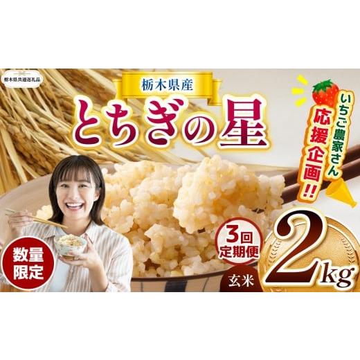 ふるさと納税 玄米 栃木県 那珂川町 訳あり 令和7年度新米 栃木県共通返礼品 数量限定 定期便3回 令和7年度新米 栃木県産とちぎの星 2kg |定期便 とちぎの星 …