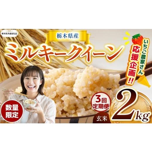 ふるさと納税 玄米 栃木県 那珂川町 訳あり 令和7年度新米 栃木県共通返礼品 数量限定 定期便3回 令和7年度新米 栃木県産ミルキークイーン 2kg |定期便 ミル…