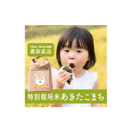 ふるさと納税 米 あきたこまち 茨城県 稲敷市 令和6年産 稲敷市産 特別栽培米 あきたこまち 10kg (5kg×2) 農家直送 |秋田小町 米 こめ コメ ごはん ご飯 19…