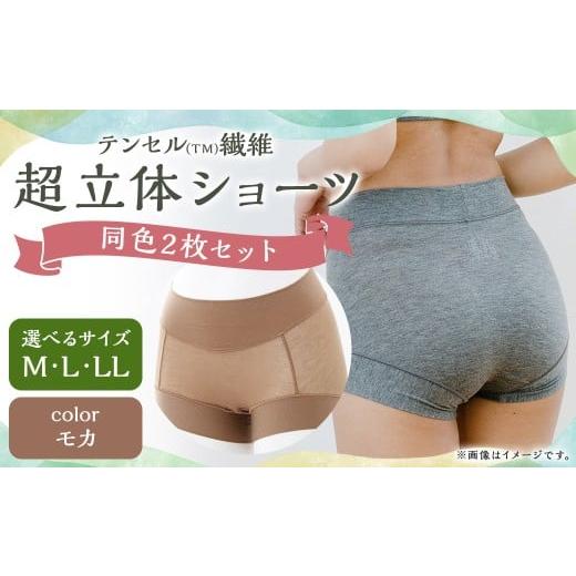 ふるさと納税 ファッション 長崎県 長崎市 7営業日以内発送 LLサイズ テンセル(TM)繊維 超立体ショーツ スタンダード丈(同色2枚セット) モカ / ショーツ…