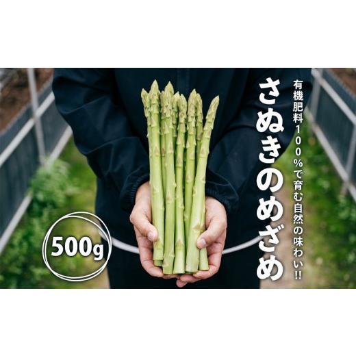 ふるさと納税 野菜類 アスパラガス 香川県 丸亀市 2026年先行予約 グリーンアスパラガス さぬきのめざめ 500g 朝採れ 鮮度バツグン 有機肥料 早朝収穫 人気 …
