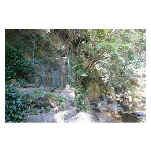 ふるさと納税 水・ミネラルウォーター 1L〜2L 兵庫県 神戸市  3ヶ月定期便 神戸ウォーター PET2L×12本(6本入り2ケース)の画像
