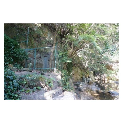 ふるさと納税 水・ミネラルウォーター 500mL〜999mL 兵庫県 神戸市  3ヶ月定期便 神戸ウォーター PET 500ml x 24本(24本入り1ケース)の画像