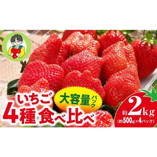 ふるさと納税 いちご 群馬県 前橋市 いちご 4種食べ比べ 大容量パック 約500g×4パック 2kg 2027年 先行予約 | コク 甘み 朝採れ イチゴ 苺 高品質 たっぷり …