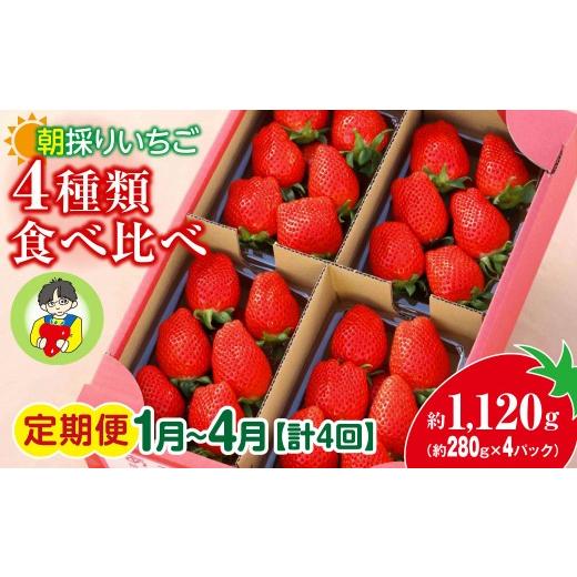 ふるさと納税 いちご 群馬県 前橋市 いちご 4種類食べ比べ 約280g×4パック 定期便1月〜4月 1120g 計4回 2027年 先行予約 | イチゴ 苺 高品質 たっぷり 新鮮 …