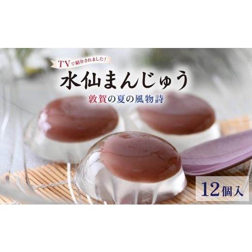 ふるさと納税 菓子 饅頭 福井県 敦賀市 TV番組で紹介された 夏季限定 敦賀の夏の風物詩 水仙まんじゅう 2箱(1箱6個入り) 水まんじゅう 冷菓 冷菓子 和菓子 …