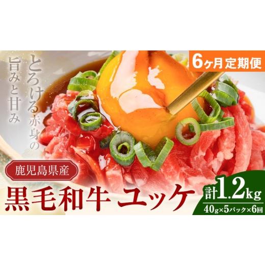 ふるさと納税 牛肉 鹿児島県 さつま町 連続6ヶ月定期便 鹿児島県産黒毛和牛ユッケ 計1.2kg 40g×5パック×6回 LRプラスK[お申し込みの翌月から出荷]鹿児島…