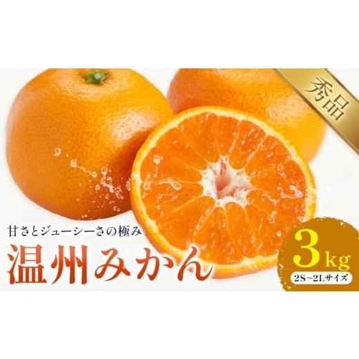 ふるさと納税 みかん・柑橘類 熊本県 荒尾市 温州みかん 約3kg 日本フルーツ株式会社 熊本県 荒尾市 [11月上旬-12月上旬頃出荷] デコポン 果物 秀品 フルー…