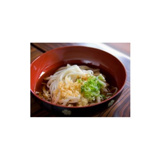 ふるさと納税 うどん 生・生涯めん 京都府 与謝野町 へじや製麺のうどん生麺10食仕かける 細麺印字機 ぶっかけ(冷)用特製だし露いささかも付 1637102