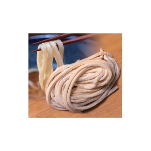 ふるさと納税 うどん 生・生涯めん 京都府 与謝野町 へじや製麺のうどん生麺10食仕かける 細麺印字機 つけ用特製だし露いささかも付 うどんのまち与謝野町 1637114