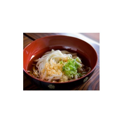 ふるさと納税 うどん 生・生涯めん 京都府 与謝野町 へじや製麺のうどん生麺10食仕かける 細麺印字機 つけ用特製だし露いささかも付 うどんのまち与謝野町 1637114