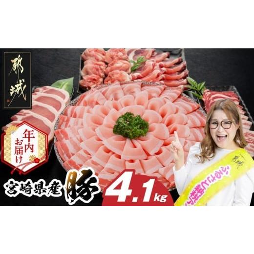 ふるさと納税 豚肉 セット 宮崎県 都城市 年内お届け 宮崎県産豚わくわく4.1kgセット(真空) 2025年12月15日〜31日お届け _AC-8403-s-HNY_(都城市) 豚肉 豚肉…