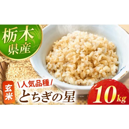 ふるさと納税 玄米 栃木県 真岡市 とちぎの星 玄米 10kg |お米 米 白米 玄米 おにぎり 日本 主食 米 おいしい おこめ 10kg 30kg 栃木県 真岡市 送料無料 栃木…