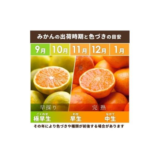 ふるさと納税 果物類 みかん 和歌山県 美浜町 〈定期便〉 10・11・12月 全3回 極プレミアム 有田みかん定期便 5kg+250g （傷み補償分） 北海道・沖縄・離島へ…_2