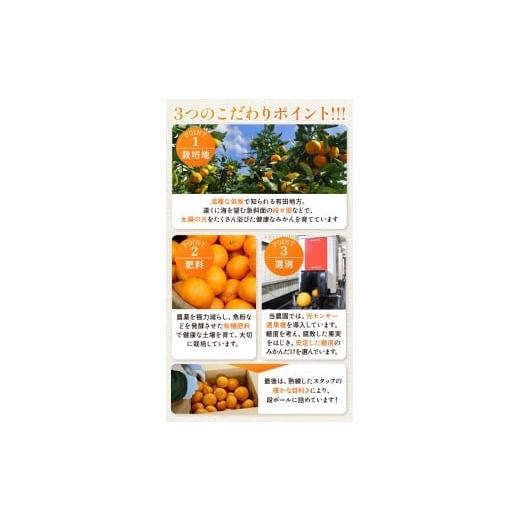 ふるさと納税 果物類 みかん 和歌山県 美浜町 〈定期便〉 10・11・12月 全3回 極プレミアム 有田みかん定期便 5kg+250g （傷み補償分） 北海道・沖縄・離島へ…_6