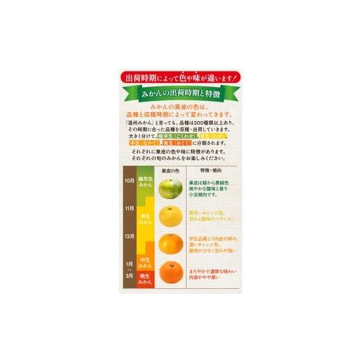 ふるさと納税 果物類 みかん 和歌山県 美浜町 〈定期便〉 10・11・12月 全3回 極プレミアム 有田みかん定期便 5kg+250g （傷み補償分） 北海道・沖縄・離島へ…_7