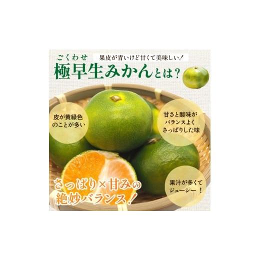 ふるさと納税 果物類 みかん 和歌山県 美浜町 〈定期便〉 10・11・12月 全3回 極プレミアム 有田みかん定期便 5kg+250g （傷み補償分） 北海道・沖縄・離島へ…_8