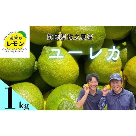 ふるさと納税 みかん・柑橘類 レモン 静岡県 牧之原市 事前受付 牧之原産 波乗りレモン ユーレカ 1kg 国産 Lemon 檸檬 柑橘類 柑橘 フルーツ 果物 酸っぱい 果…