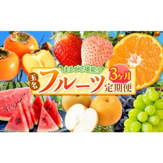 ふるさと納税 果物の詰合せ 熊本県 玉名市 定期便 3回 まるごと 堪能 人気 フルーツ |( いちご 白いちご みかん 不知火 デコポン スイカ メロン ぶどう シャ…