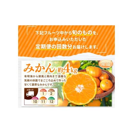 ふるさと納税 果物の詰合せ 熊本県 玉名市  定期便 8回 フルーツ定期便 高評価 果物 フルーツ 選べる発送回数 （いちご みかん 不知火 スイカ ぶどう メロン …_3