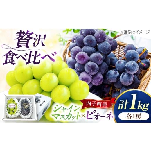 ふるさと納税 ぶどう 愛媛県 内子町 ぶどう 先行予約 シャインマスカット・ピオーネのセット 計1kg 2026年8月下旬から発送 / シャインマスカット 大人気 愛媛…