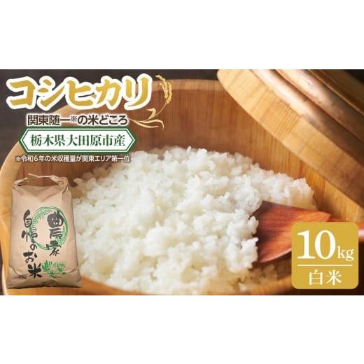 ふるさと納税 米 コシヒカリ 栃木県 大田原市 令和7年産 新米 先行予約受付 栃木県 大田原市産 コシヒカリ 白米 10kg |コメ お米 銘柄米 農家直送 産地直送 …