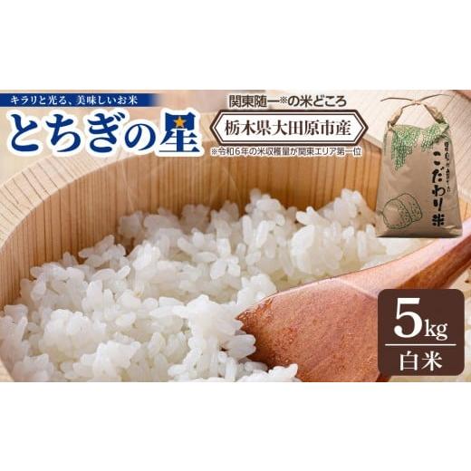 ふるさと納税 米 栃木県 大田原市 令和7年産 新米 栃木県 大田原市産 とちぎの星 白米 5kg |コメ お米 銘柄米 農家直送 産地直送 産直 数量限定